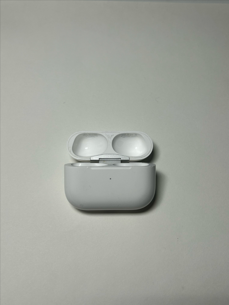 에어팟 프로 2세대 본체 이미지