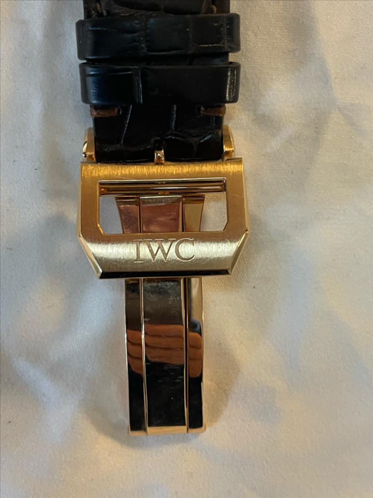 IWC 7Days 부엉이 금통 이미지