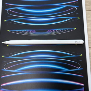 아이패드 프로 11 4세대 128g + 애플펜슬 2세대 이미지