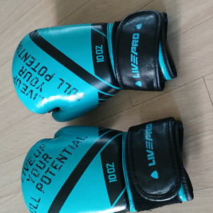 글러브 복싱 권투 격투기 주짓수 이미지