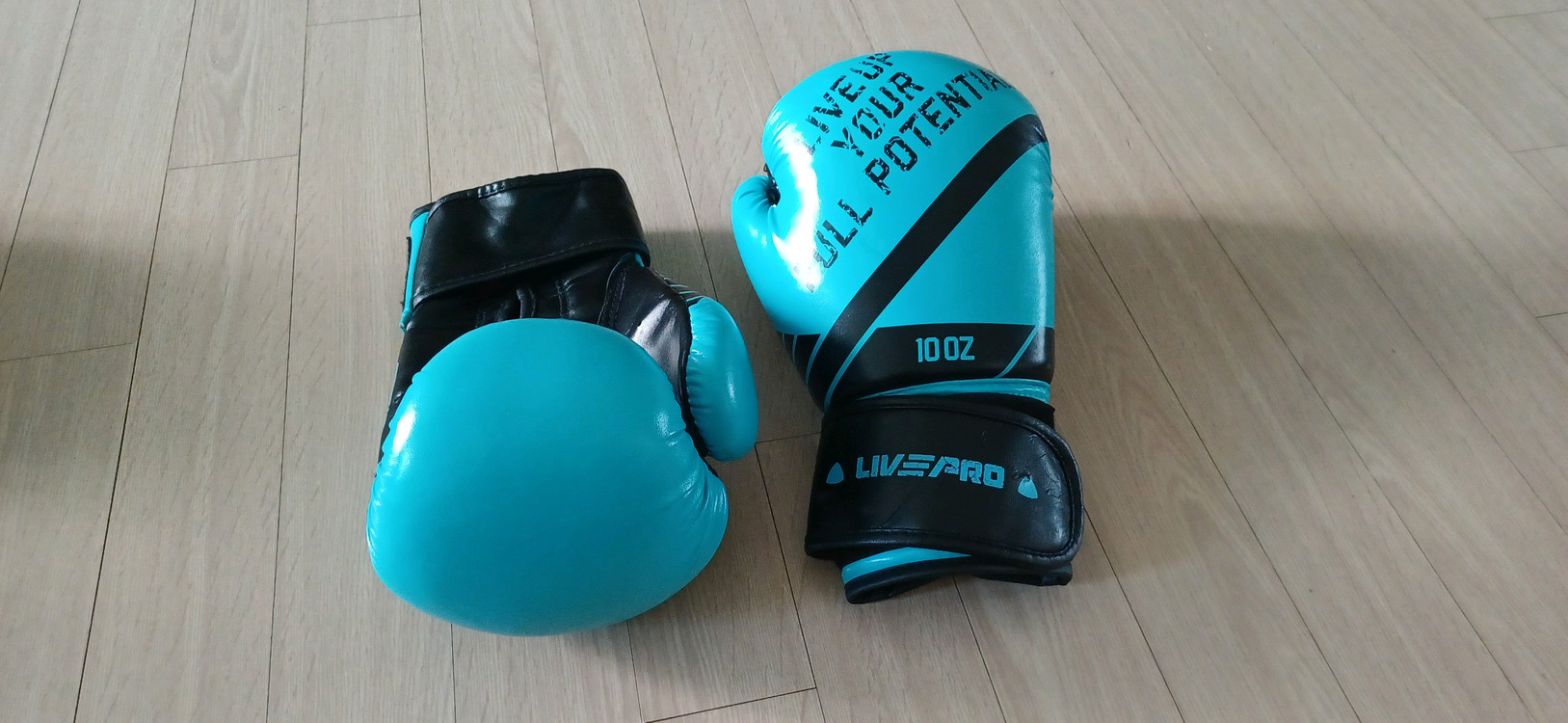 글러브 복싱 권투 격투기 주짓수 이미지