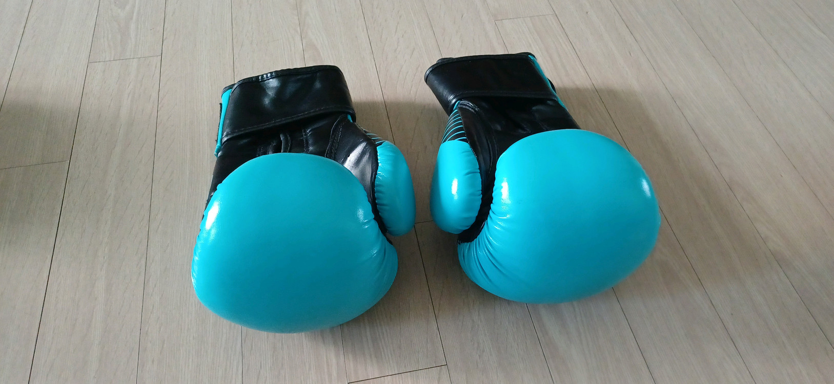 글러브 복싱 권투 격투기 주짓수 이미지