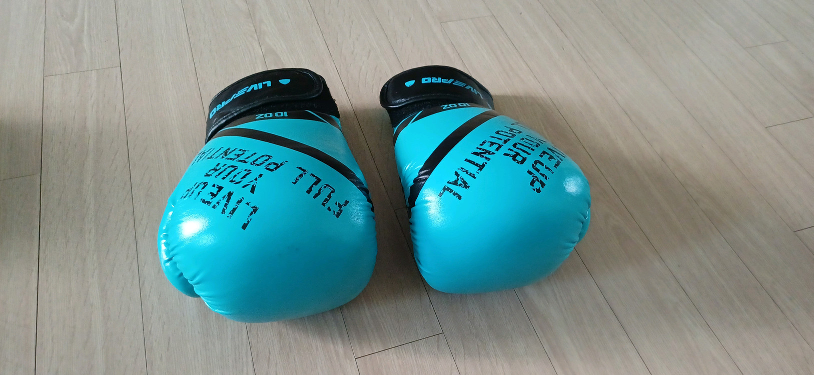 글러브 복싱 권투 격투기 주짓수 이미지