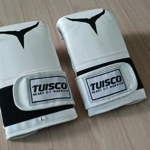 글러브 복싱 권투 격투기 주짓수 이미지