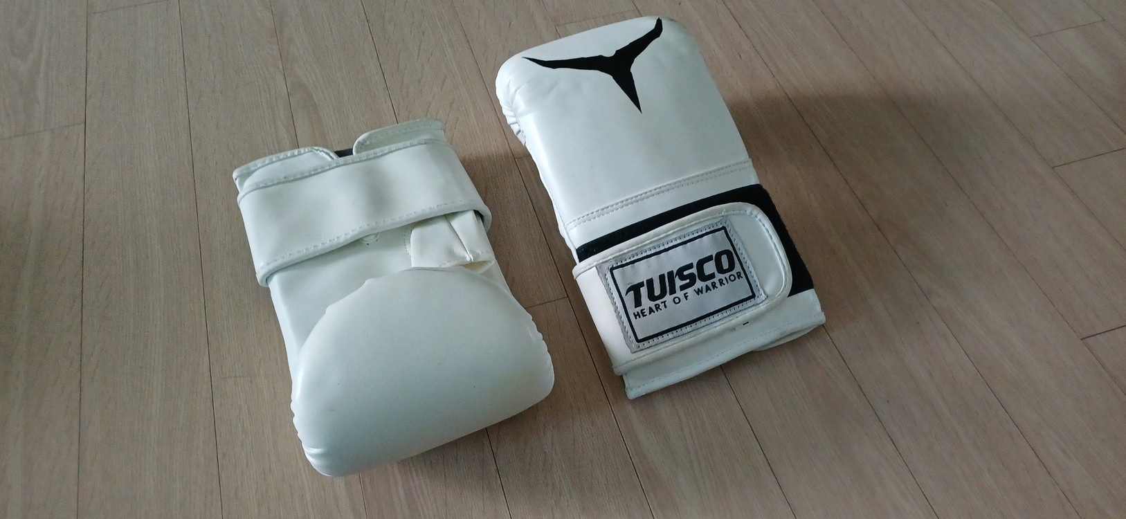 글러브 복싱 권투 격투기 주짓수 이미지