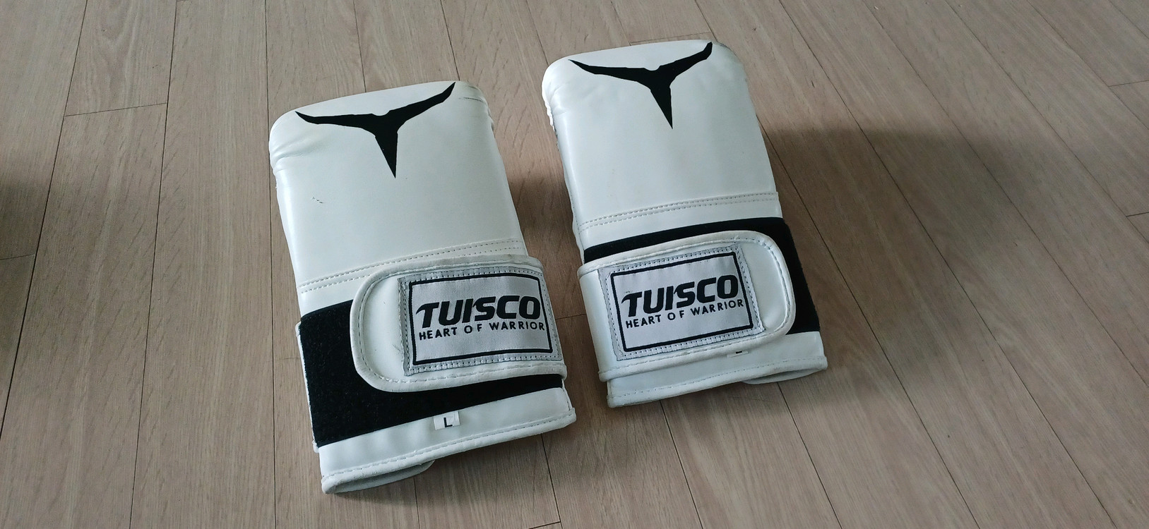 글러브 복싱 권투 격투기 주짓수 이미지