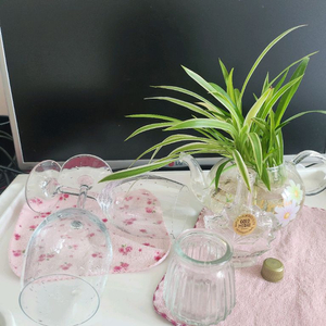 무배송)물꽂이 식물.와인잔2 등등 이미지