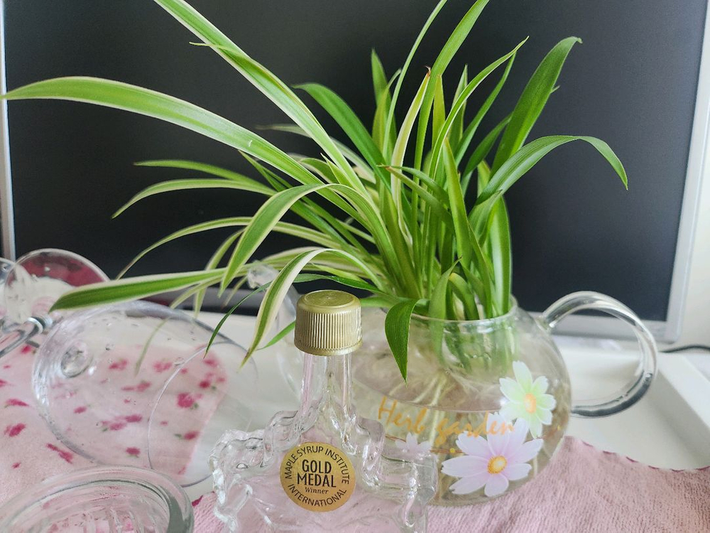 무배송)물꽂이 식물.와인잔2 등등 이미지