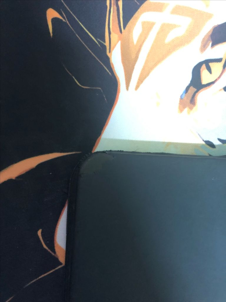 아이패드 프로11 2세대 셀룰러 이미지