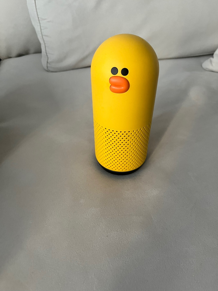 [개인]네이버클로바AI 스피커 프렌즈+ 샐리 캐릭터 박풀제품 판매합니다. 이미지