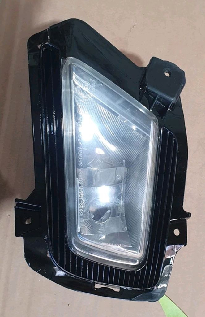 뉴프라이드 이미지