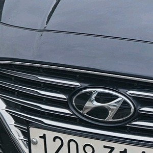 그랜저 ig 순정그릴 이미지