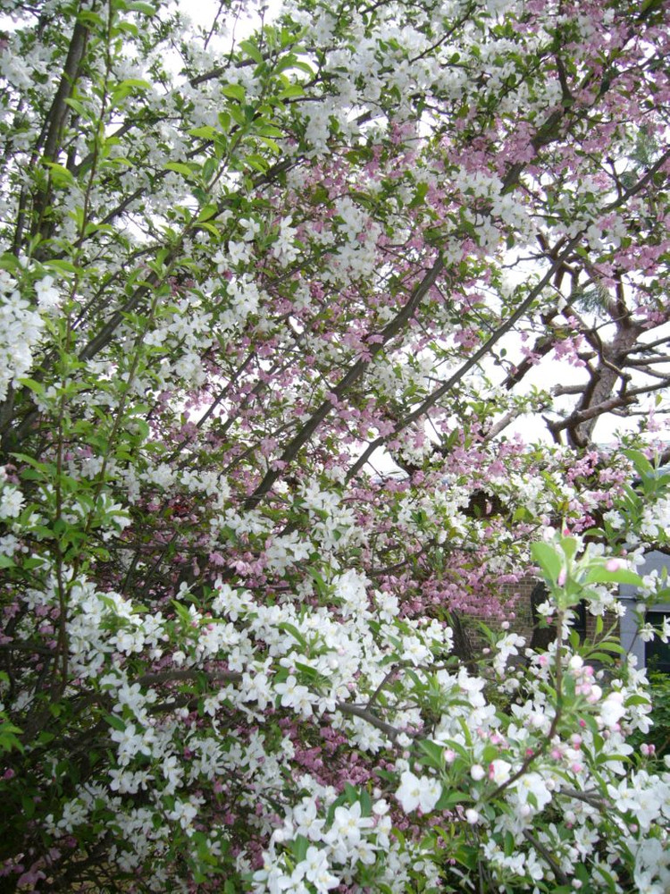 파나소닉 루믹스 디지털 카메라 dmc-fx8 팝니다. 이미지