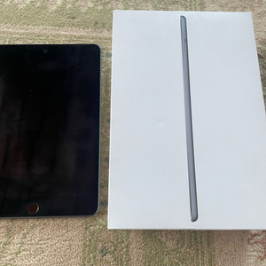 아이패드미니5 256기가 lte 이미지