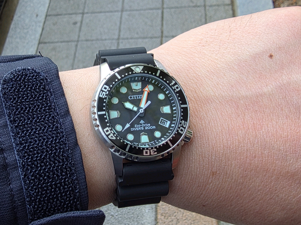 시티즌 EO2020-08E 미니복어 이미지