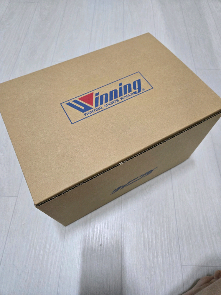 위닝 t자 헤드기어 fg-2900 화이트 m 이미지