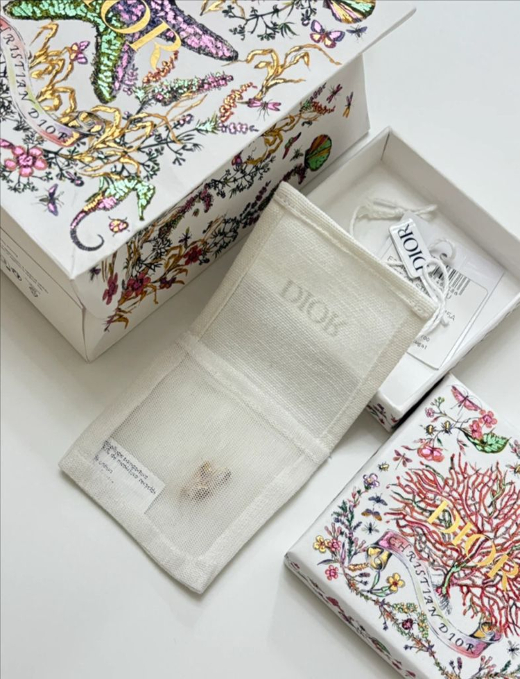 (정품/새제품) 디올 Petit CD 스터드 귀걸이 이미지