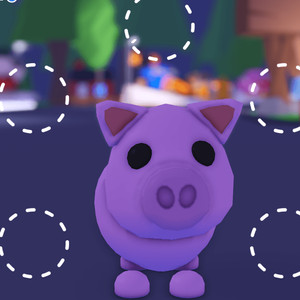 입양하세요 펫 날타돼지 ㅍㅍ 이미지