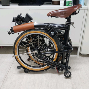 브롬톤C라인M12R 이미지