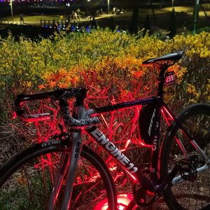 2025 엔진11 크릿디 에그플랜트 판/대 이미지