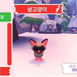 입양하세요 펫 네온 샴고양이(네샴)판매햅니다 이미지