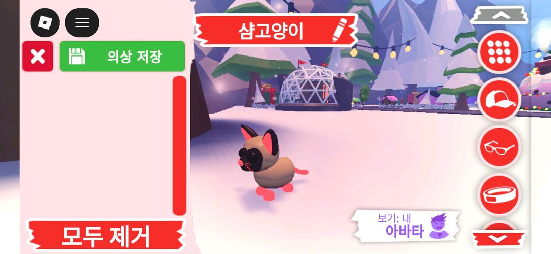 입양하세요 펫 네온 샴고양이(네샴)판매햅니다 이미지