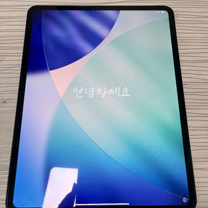 (S급/풀박스) 아이패드 프로 13 M4 셀룰러 256GB (스페이스그레이) 이미지