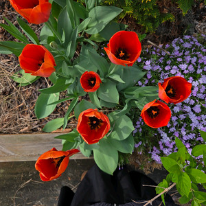 영덕파나크 리조트 풀빌라 4.5월1.2.3.23.30일 이미지