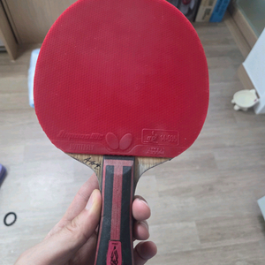 안재현프로 , 코쿠타쿠 이진권이너alc 탁구라켓 이미지