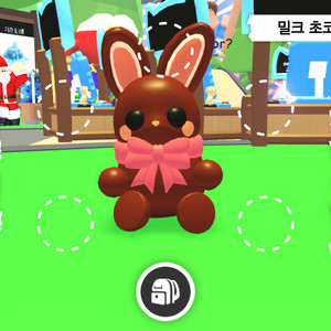 입양하세요 초코토끼 이미지