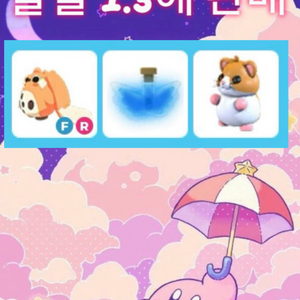 입양하세요 (입양) 펫 판매합니다 이미지