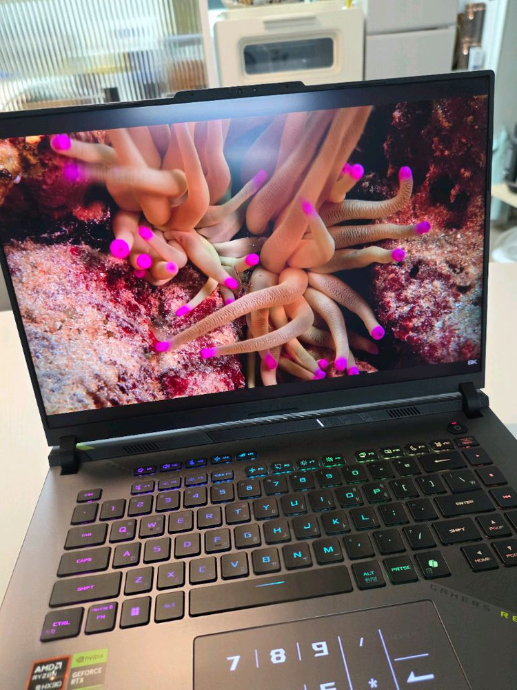 ASUS ROG STRIX G16 G614FR-S5122 판매합니다 (9955HX3D,5070TI,32GB 업글) 이미지