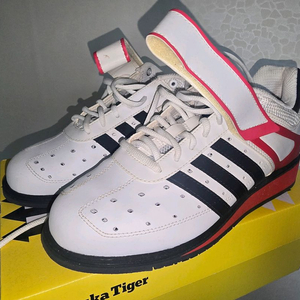 아디다스 파워퍼펙트2 역도화 250 팝니다 이미지