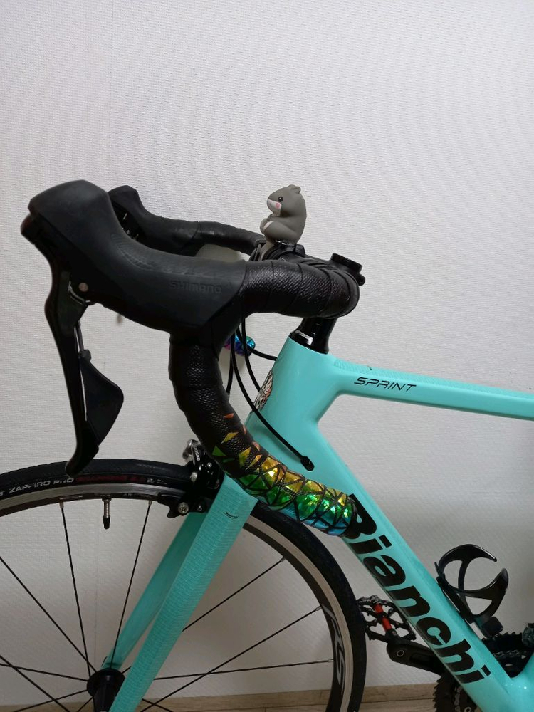 비앙키 스프린트105 카본 로드 자전거 55사이즈 이미지