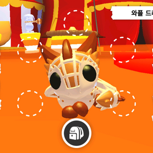 입양하세요 와플드래곤 이미지