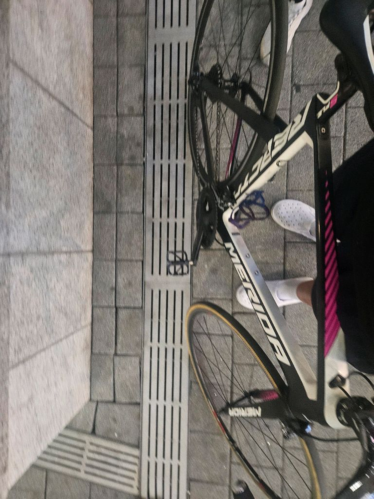 메리다리엑토4000 이미지