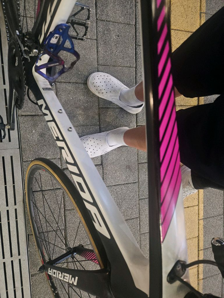 메리다리엑토4000 이미지