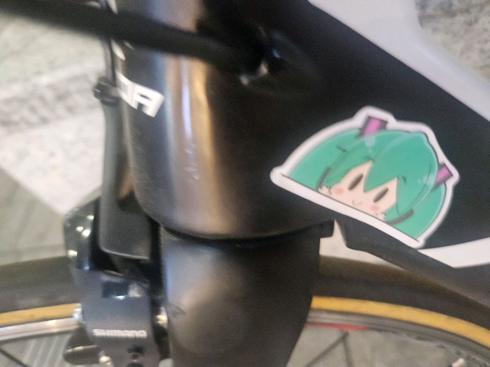 메리다리엑토4000 이미지