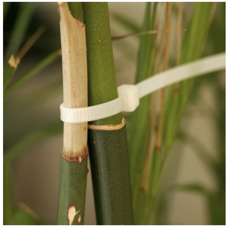 다용도 케이블 타이 1600개 코스트코 이미지