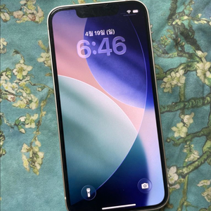 아이폰13미니 256 스타라이트 이미지