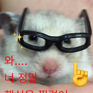 수문사 2025년 성찰하는 인간관계 의사소통 pdf 구합니다.. 이미지