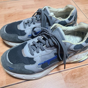 프리미아타 샤키 41(260추천) 이미지