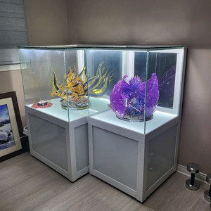 마이뮤지엄 단독장식장 팝니다 이미지