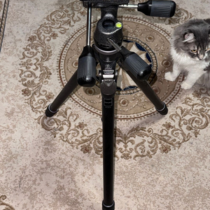 짓조 카본 삼각대 GT2532+G2272M 이미지