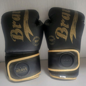 브레이브 복싱 글러브 이미지