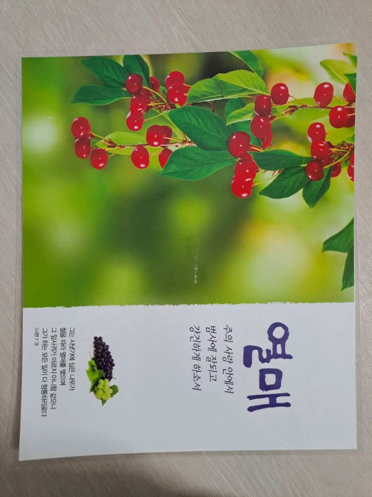 교회 기독교용품 말씀 코팅액자 심방선물 개역개정 성경 캘린더 은혜 찬송가 전도 예배 목사 신앙 예수님 하나님 복음 이미지