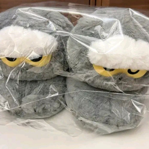 지디 조앤프렌즈 홈 슈즈 최저가 팝니다! 이미지