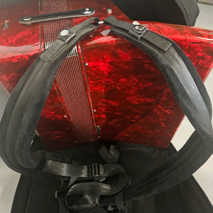 리베라 아코디언 이미지