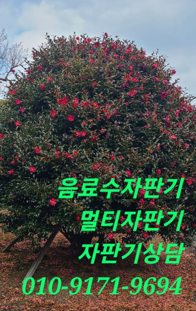 롯데기공롯데자판기LVM483SRL.학교자판기 무인카페자판기. 이미지