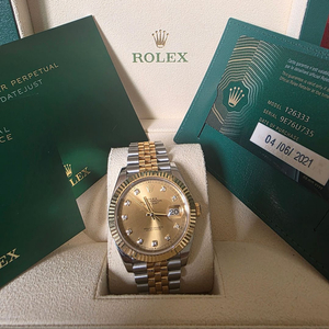 로렉스 데이저스트 콤비 샴페인 10p 41mm 이미지